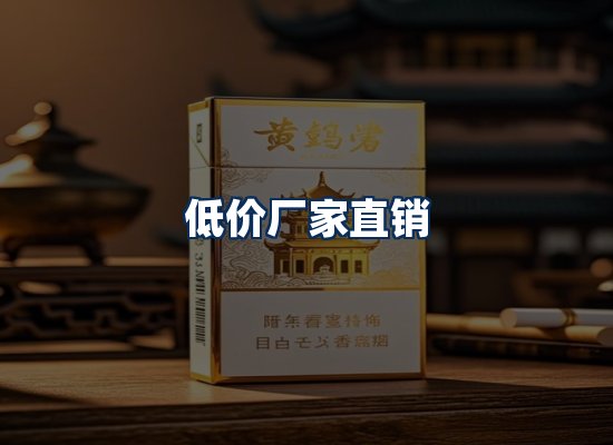 专业团队办公环境